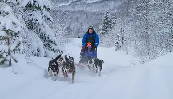 ISO SYÖTE: SAFARI EN TRINEO DE PERROS HUSKIES Y MOTOS DE NIEVE