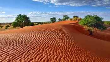 DESIERTO DEL NAMIB / ÁREA DEL KALAHARI