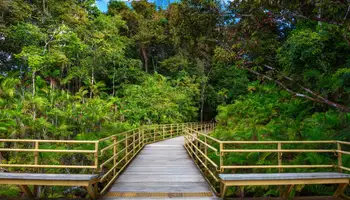 MANUEL ANTONIO O GUANACASTE/SAN JOSÉ