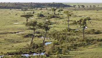 P. N. LAGO NAKURU O LAGO NAIVASHA / R. N. MASAI MARA
