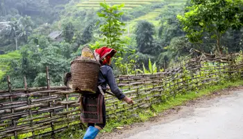 TAN VAN / GIANG TA CHAI / SU PAN / SAPA / HANOI ( TREKKING 3 HRS APROX)