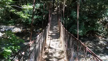 PN RINCÓN DE LA VIEJA (VOLCÁN RINCÓN DE LA VIEJA Y CATARATA OROPÉNDOLA)