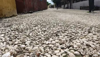 SALOUM / JOAL FADIOUTH / SALY O SOMONE