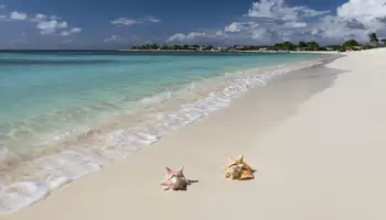 CARACAS / LOS ROQUES