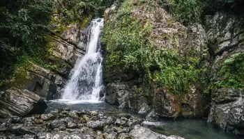 SAN JUAN / EL YUNQUE / SAN JUAN