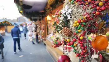 BRATISLAVA / VIENA / BRATISLAVA