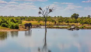 ÁREA KRUGER (RESERVA PRIVADA)