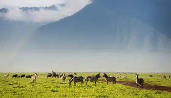 KARATU / NGORONGORO / KARATU