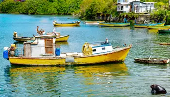 PUERTO NATALES / PUNTA ARENAS / PUERTO VARAS