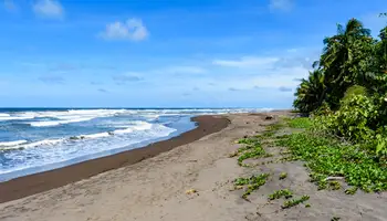 PN TORTUGUERO