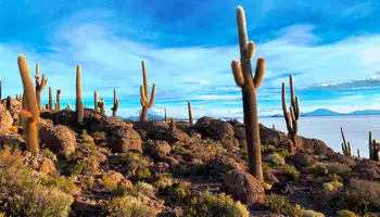 POTOSÍ/COLCHANI (UYUNI)