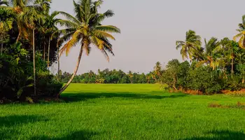KUMARAKOM