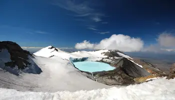NAPIER/P.N. TONGARIRO (190 KM - 5 HRS.)