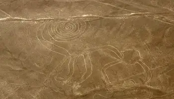 PARACAS / PISCO / LIMA