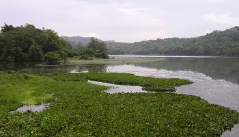 LAGO GATÚN (RESERVA ECOLÓGICA GAMBOA)