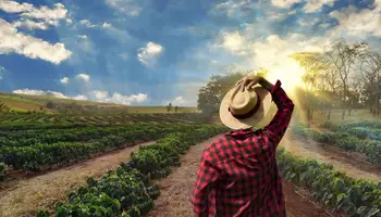 EJE CAFETERO (EXPERIENCIA DEL CAFÉ)