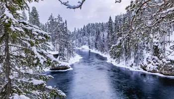 RUKA: EXCURSIÓN OPCIONAL PARQUE NACIONAL DE OULANKA