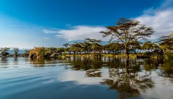 P. N. LAGO NAKURU / LAGO NAIVASHA / R. N. MASAI MARA