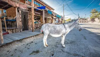 KINGMAN / OATMAN / NEEDLES / AMBOY / NEWBERRY SPRINGS / BARSTOW (332 KM)