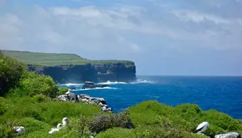GALÁPAGOS (ISLA ESPAÑOLA: BAHÍA GARDNER / PUNTA SUÁREZ)