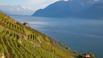 MONTREUX/LAUSANA (30KM)