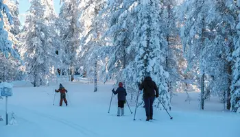 YLLÄS