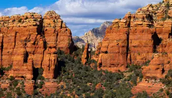 FLAGSTAFF / WILLIAMS (88 KM)