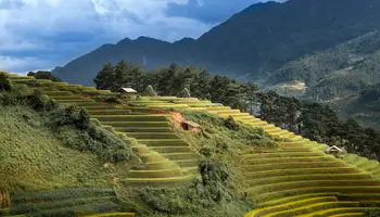 SAPA / Y LINH HO / LAO CHAI / TAN VAN ( TREKKING 4 HRS APROX)