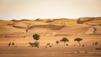 NIZWA / AL MINSIFIEH / AL MUDAYRIB / WAHIBA SANDS