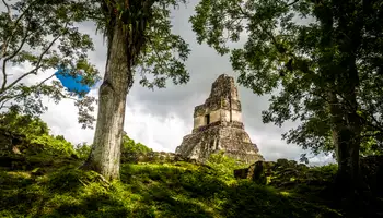 ÁREA DE PETÉN (P N TIKAL)/GUATEMALA