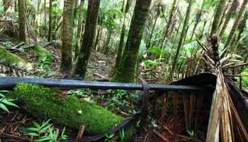 SAN JUAN / RÍO GRANDE (45 KM)