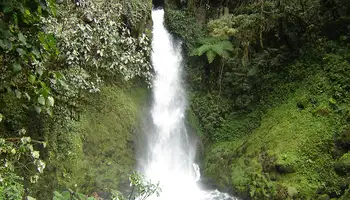 KARAWARI(SEPIK REGION)/MOUNT HAGEN