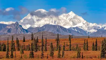 DENALI