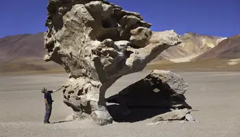 OJO DE PERDIZ (RESERVA DE FAUNA ANDINA EDUARDO AVORA – LAGUNAS VERDE Y COLORADA) / UYUNI