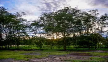 ARUSHA / KARATU (ÁREA CRÁTER DEL NGORONGORO)