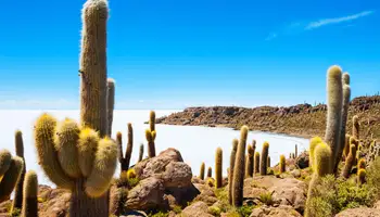 SAN PEDRO DE QUEMEZ / ISLA INCAHUASI / UYUNI