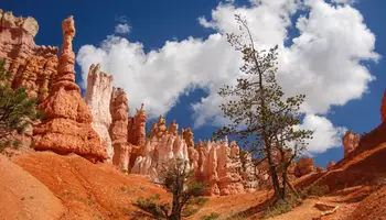 CAÑÓN BRYCE / LAS VEGAS (420 KM)
