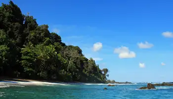 PN DE CORCOVADO (ISLA DEL CAÑO)