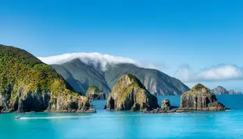 TONGARIRO / WELLINGTON (289 KMS)