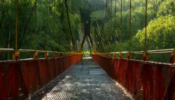 AMAZONAS / BOGOTÁ / EJE CAFETERO