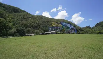 VIÑALES / LA HABANA