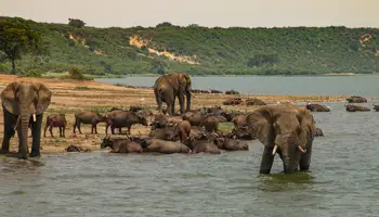 PARQUE NACIONAL QUEEN ELIZABETH