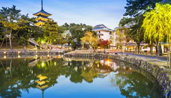 OSAKA / NARA / OSAKA