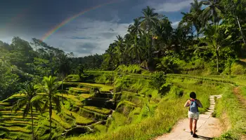 BALI / UBUD