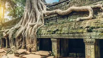 SIEM REAP (ANGKOR)