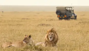 LAGO ELEMENTAITA / R. N. MASAI MARA