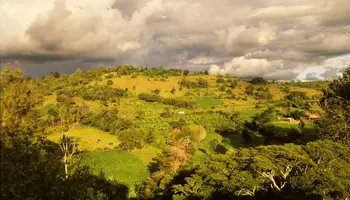 R. N. SAMBURU / P. N. ABERDARE