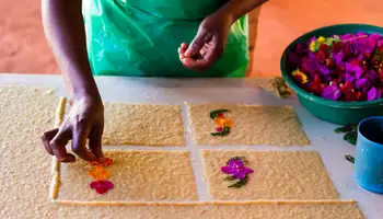 SAHAMBAVY/FIANARANTOA/ AMBALAVAO/ANJA/ISALO