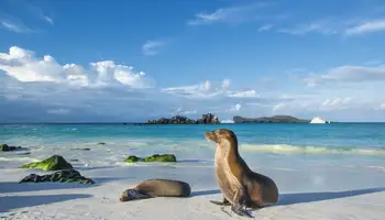 GUAYAQUIL/GALÁPAGOS (SAN CRISTÓBAL: CENTRO INTERPRETACIÓN)