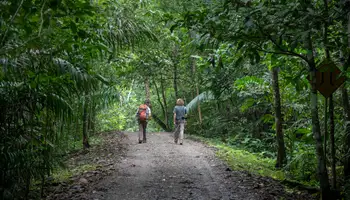 CIUDAD DE PANAMÁ / LAGO GATÚN (RESERVA ECOLÓGICA GAMBOA)